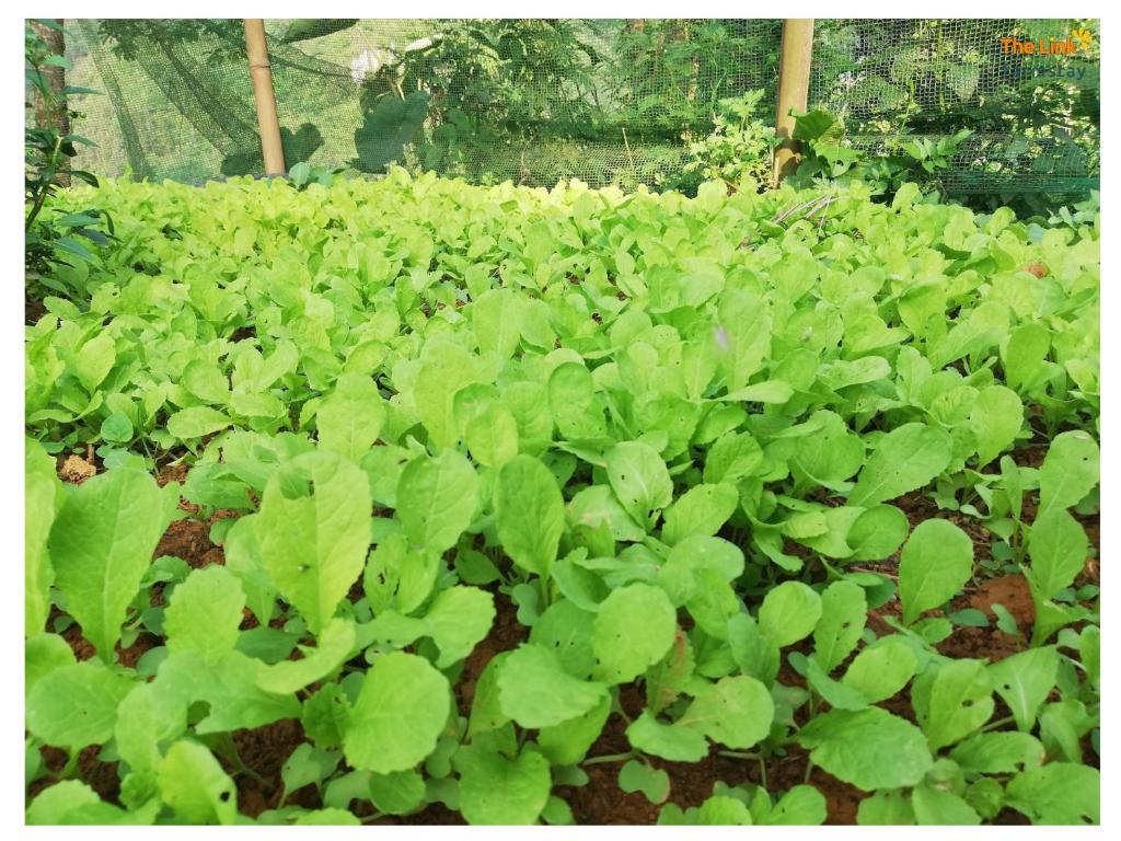 Surrounding environment