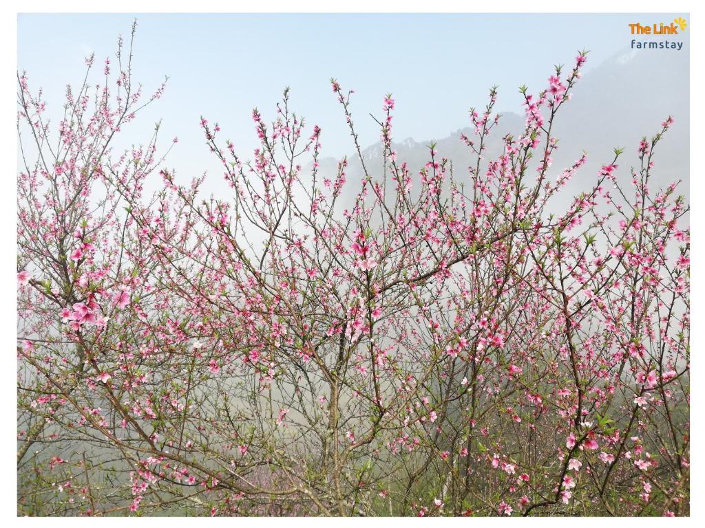 Surrounding environment