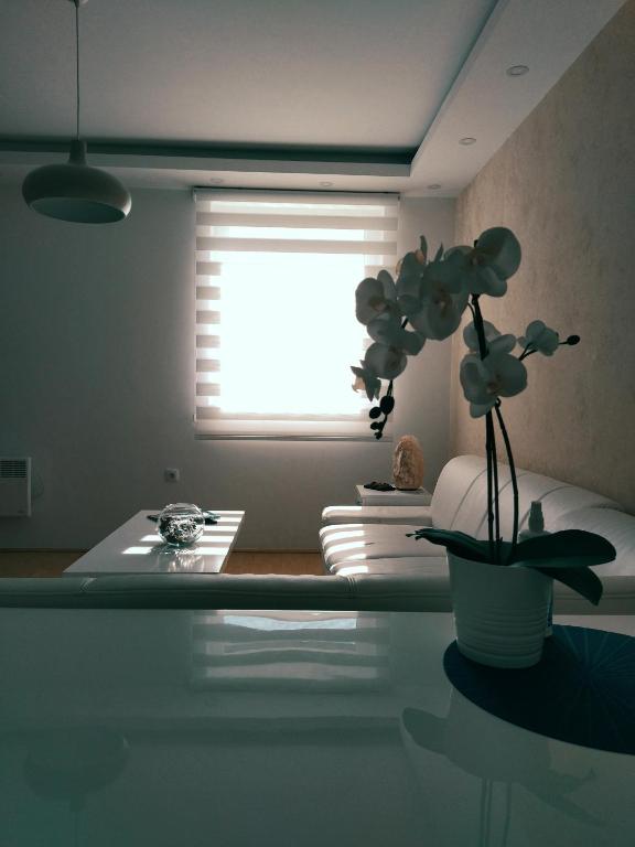 Apartman Teodora - 3