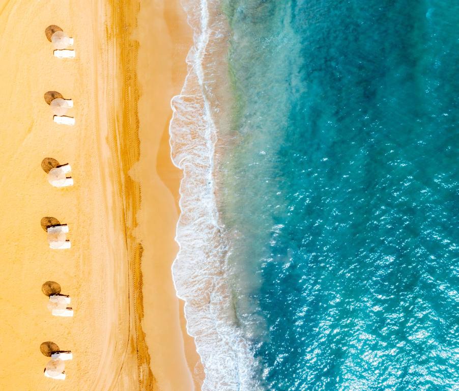 Thalassa Beach Resort & Spa Retreat, Vokolidha