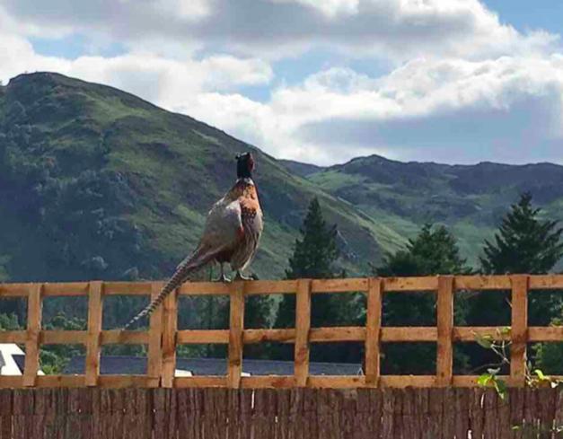 The Bothy - your unique luxury refuge photo