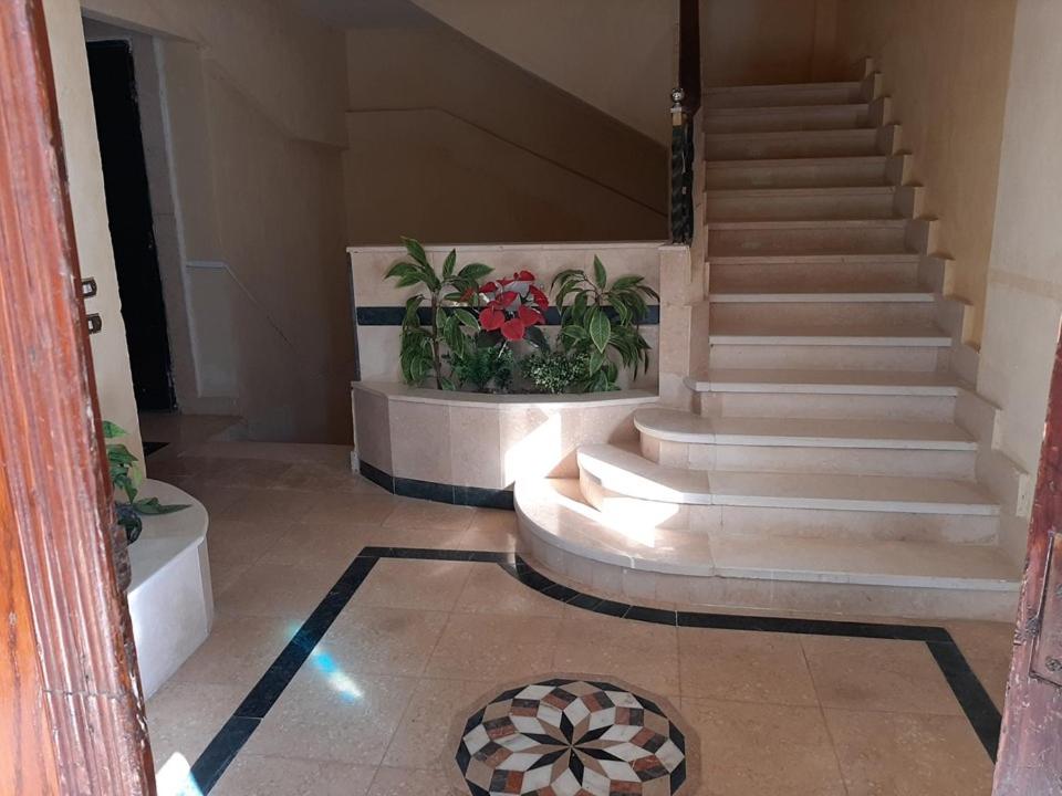Small Friendly Apart In a Villa - New Cairo 5th Settlement photo