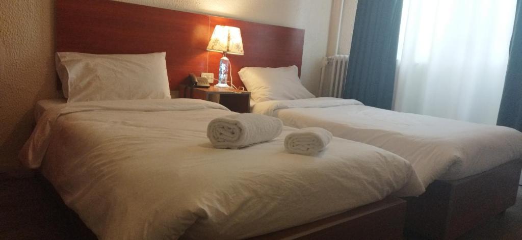 New Park Hotel photo