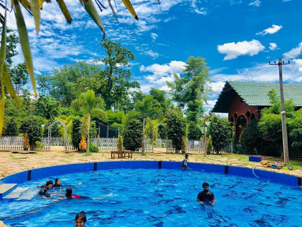 Dandeli Jungle Resort photo