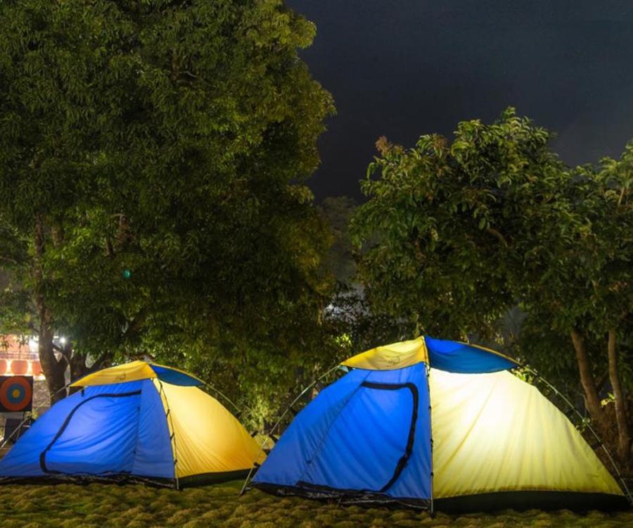 Dandeli Jungle Resort photo