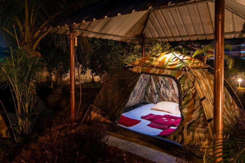 Dandeli Jungle Resort photo