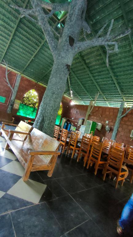 Dandeli Jungle Resort photo