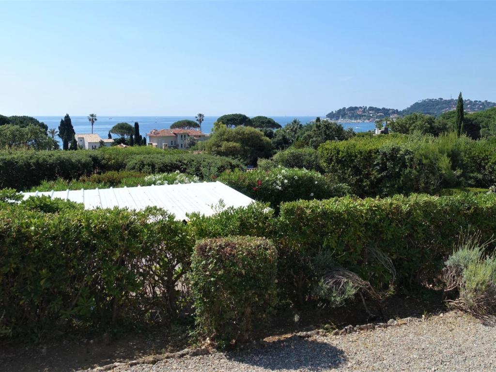 Apartment Riva Bella-1 by Interhome - 5