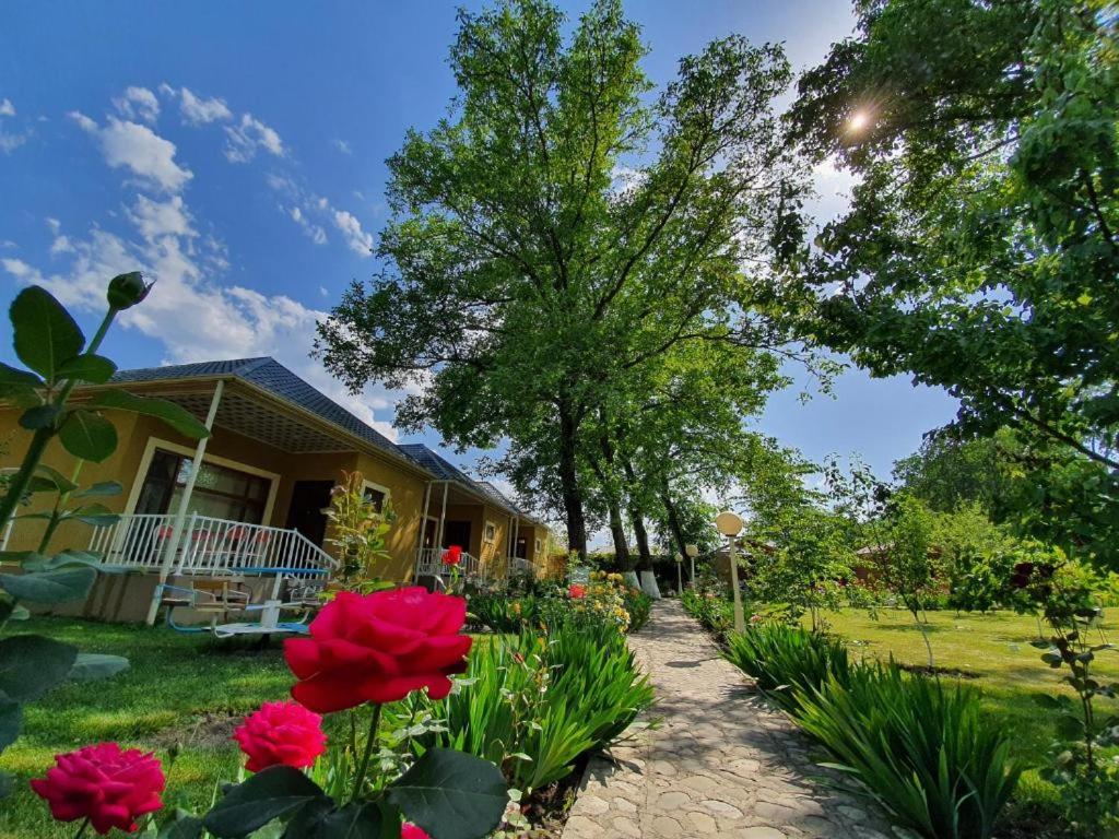 Zangazur hotel &amp; cottages — Hotel in Chilegir