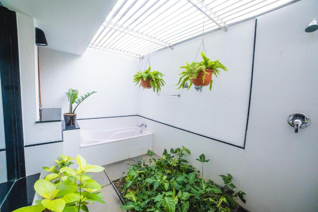 バスルーム（客室）