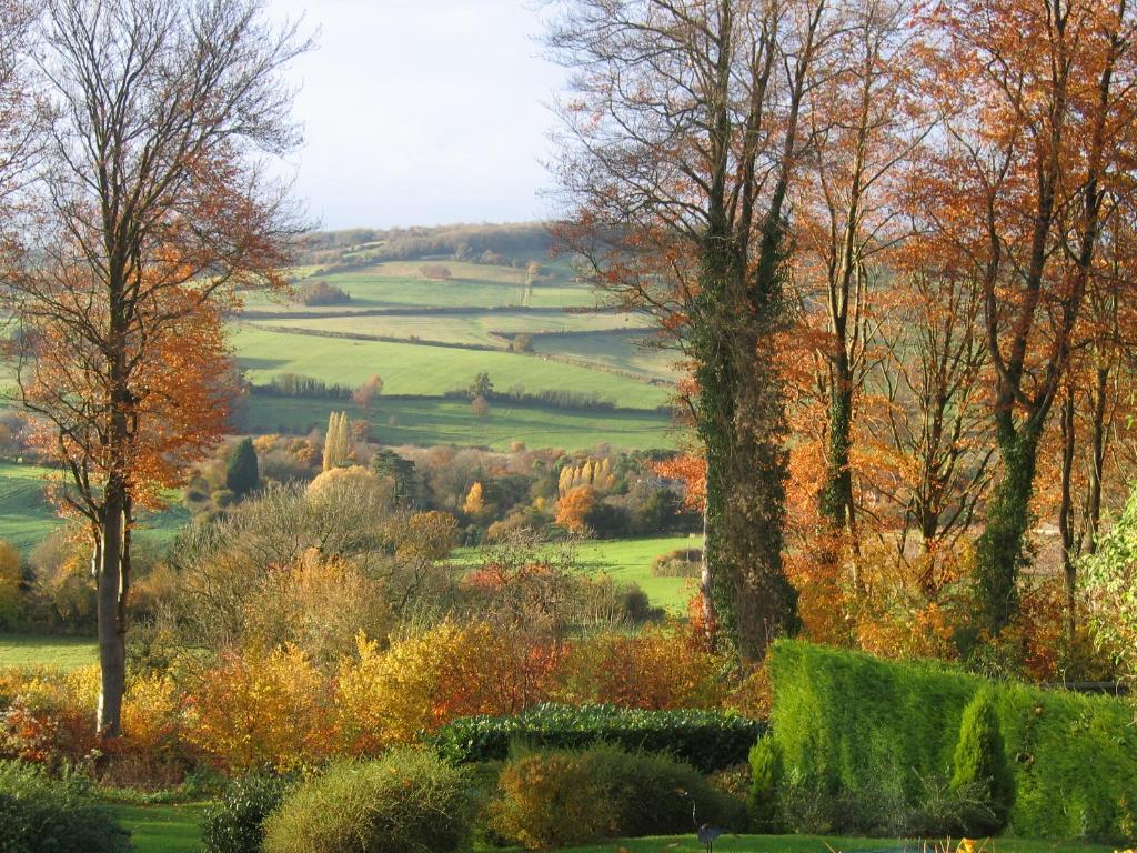 Spinneycross photo