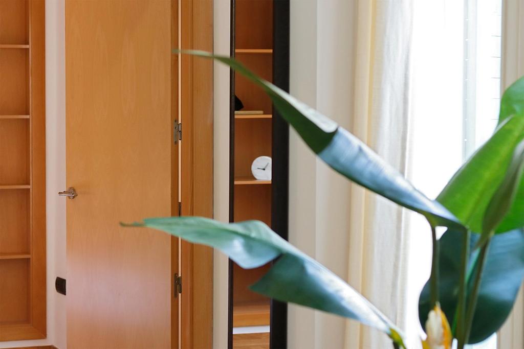 Apartamento Thyssen - Pozos Dulces - 3