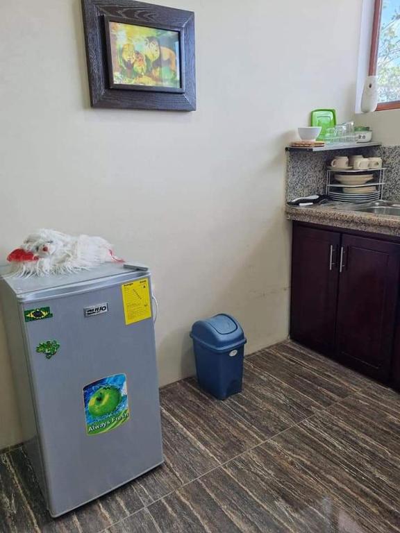 La Casa de Amelia - 5