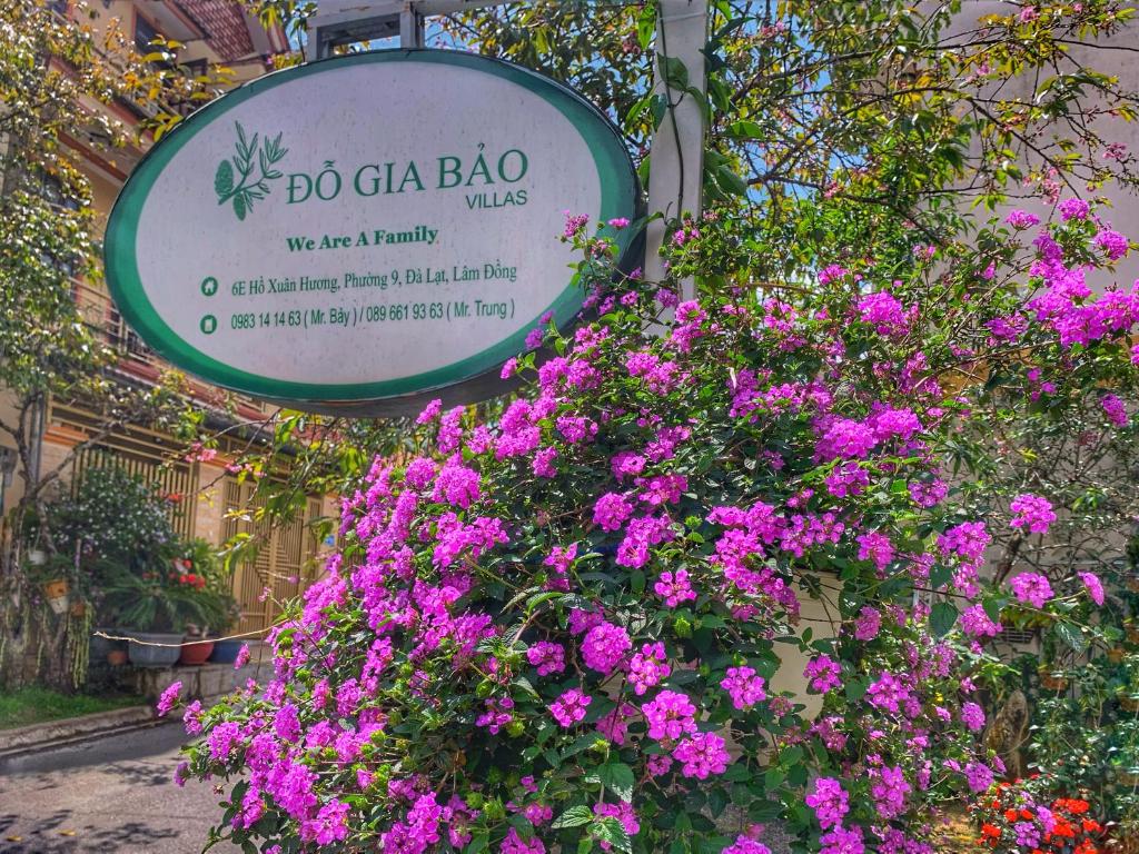 Đo Gia Bao Villa photo