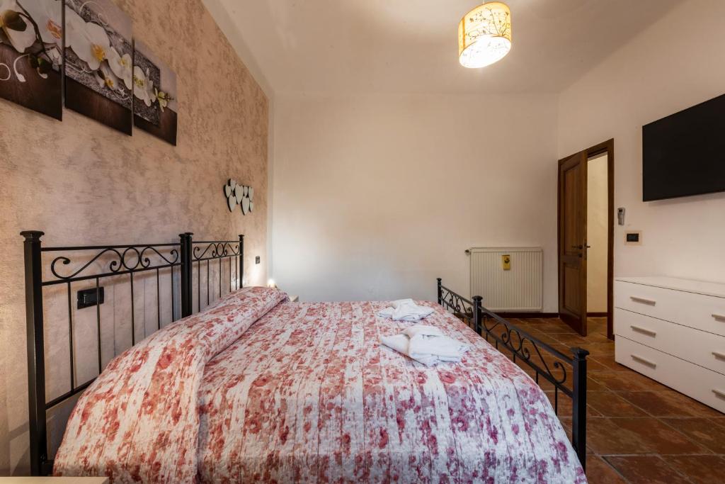 Conce Apartment - 5