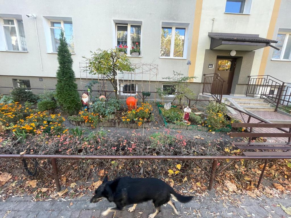 Cosy studio in quiet location Renovated June 2021 photo