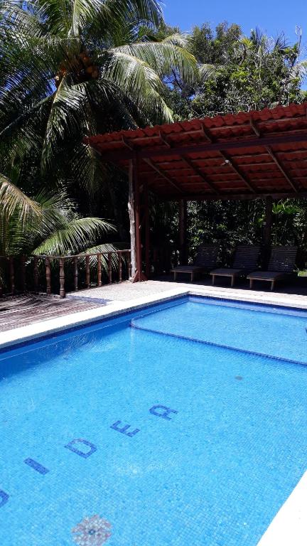 Iguana Libre, Dominical