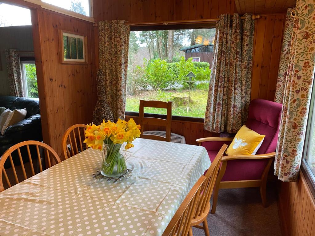 Caban Coetir, Cenarth photo 7