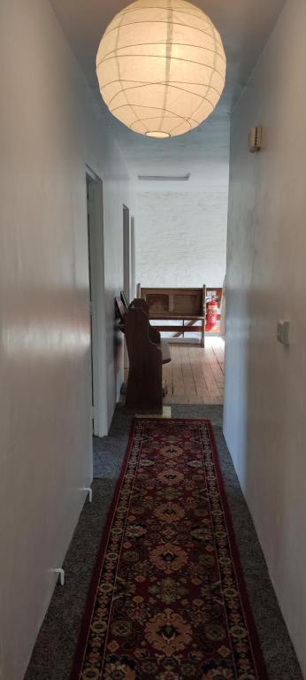 Toad Hall Hostel photo