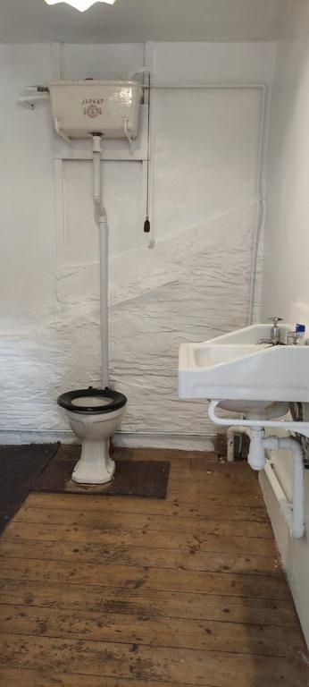 Toad Hall Hostel photo