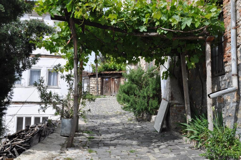 Lakeview Apartments Ohrid photo