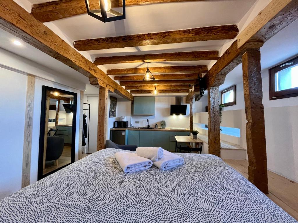AtuaireHome Loft con encanto en el corazón de Burgos Dauda - 5