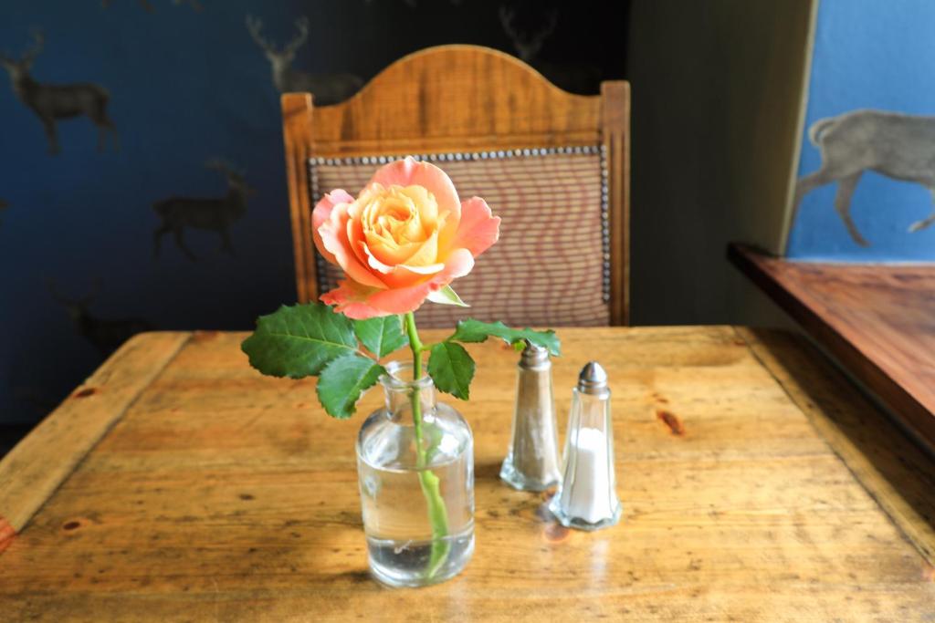 The Blue Bell Inn photo