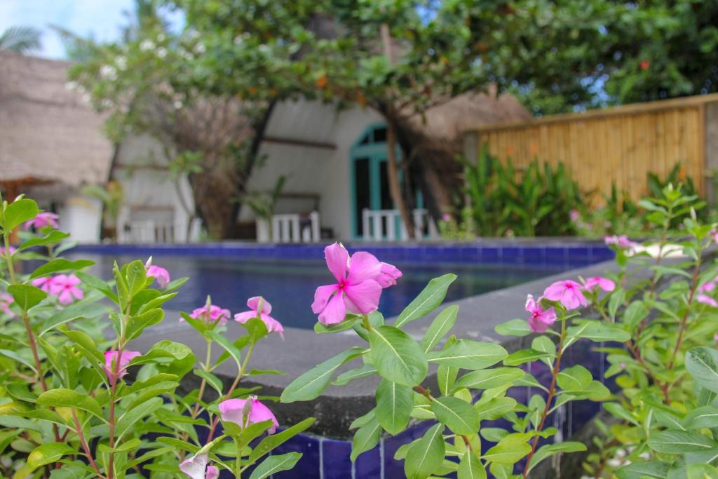 LUCKY'S — Hotel in Lombok