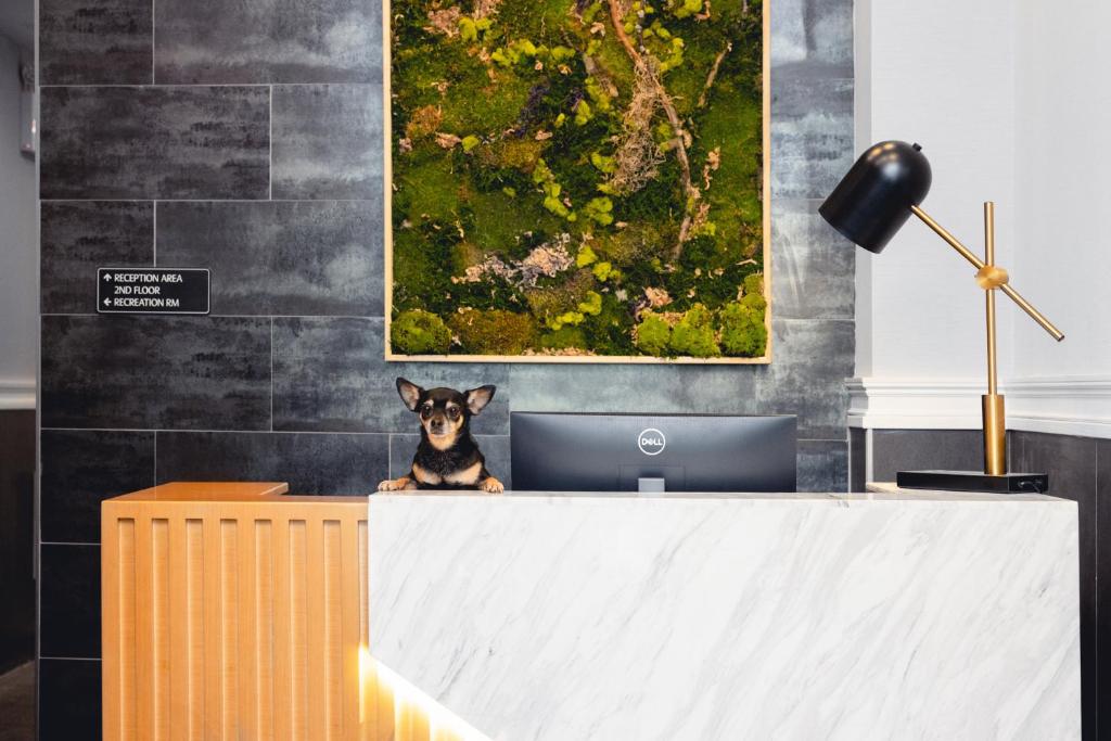 The Modernist Hotel photo