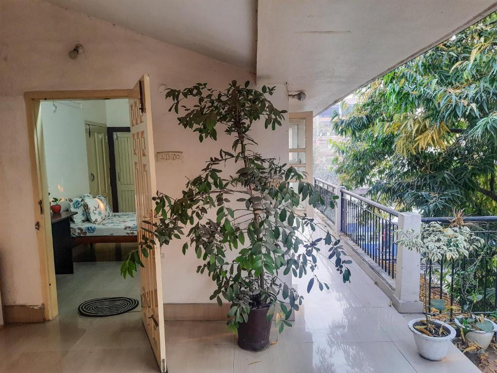Dula HomeStay photo