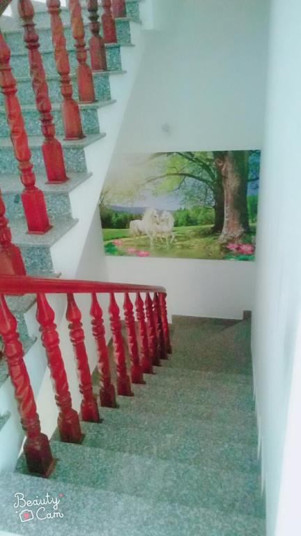 NHA NGHI THIEN HUONG photo