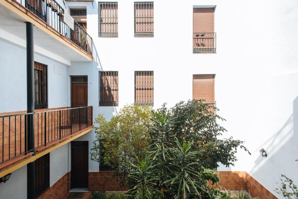 Requena Suite Apartment - 4