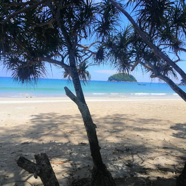 Thalassa pool Kata Beach photo