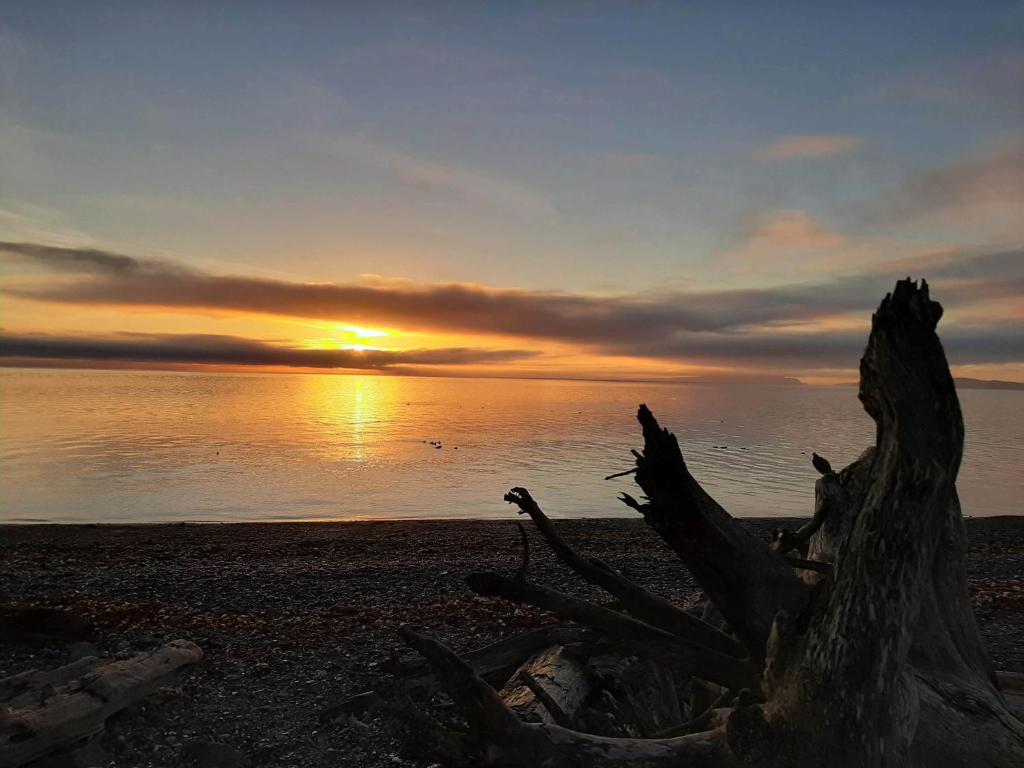 Oceanfront Paradise photo