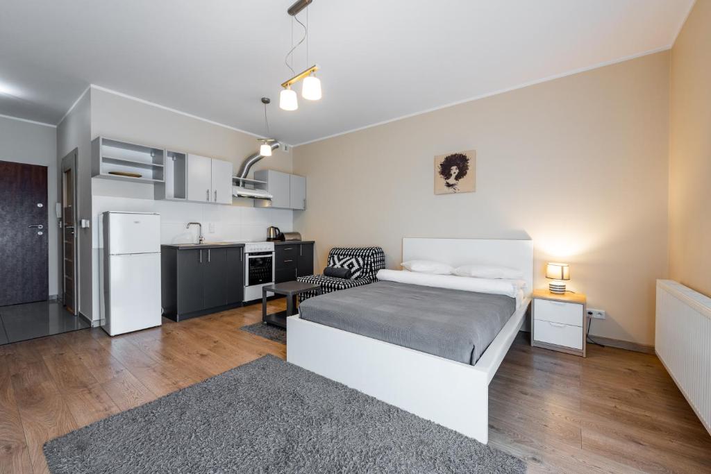 Economy Studio Apartment with Terrace - Francuska 94A/2