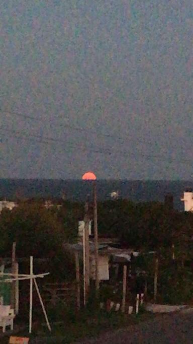Loft en Jose Ignacio. Gran vista y ubicacion - 2
