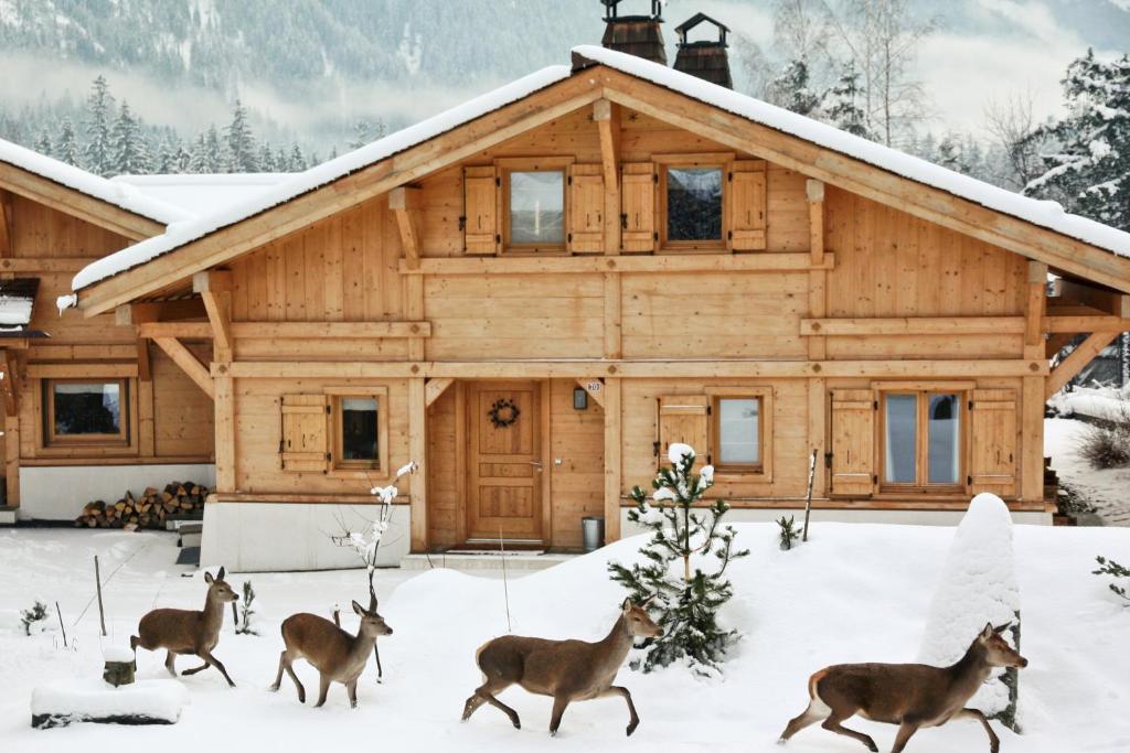 Les Chalets des Liarets - 4