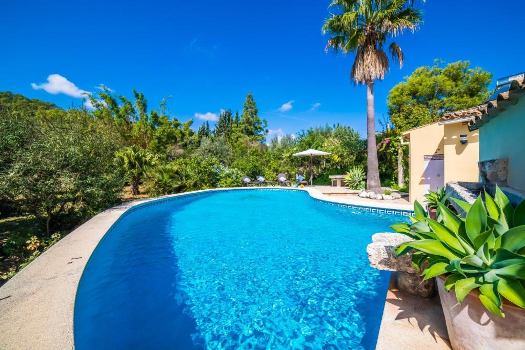 Ideal Property Mallorca - Patufa - 3