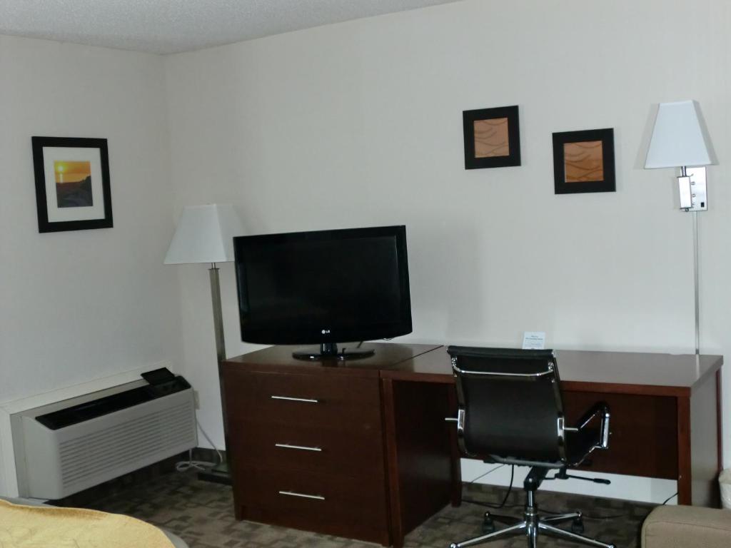 Comfort Inn Birch Run photo