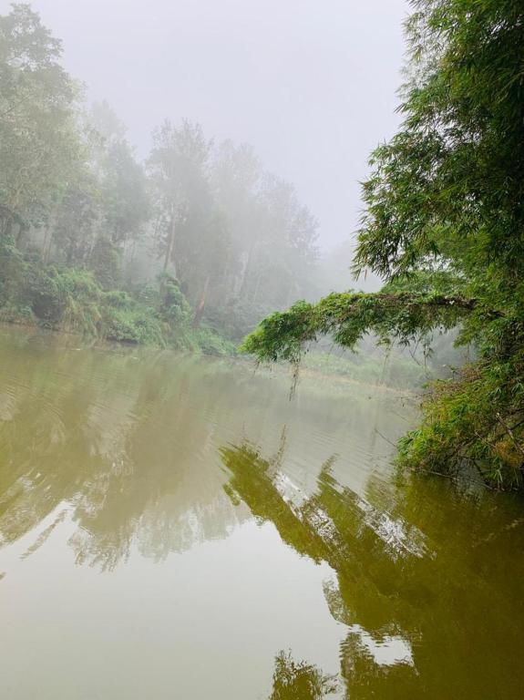 Dreams River view homestay coorg B photo