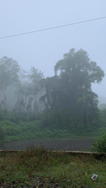 Dreams River view homestay coorg B photo
