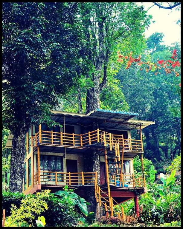 Tree Top Jungle Jive photo