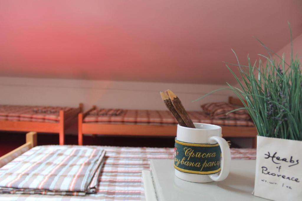 Belgrade Bicycle Hostel - 3