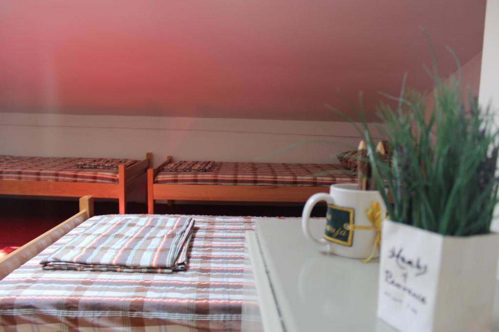 Belgrade Bicycle Hostel - 5