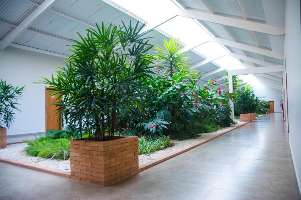 Hotel Vila Verde photo