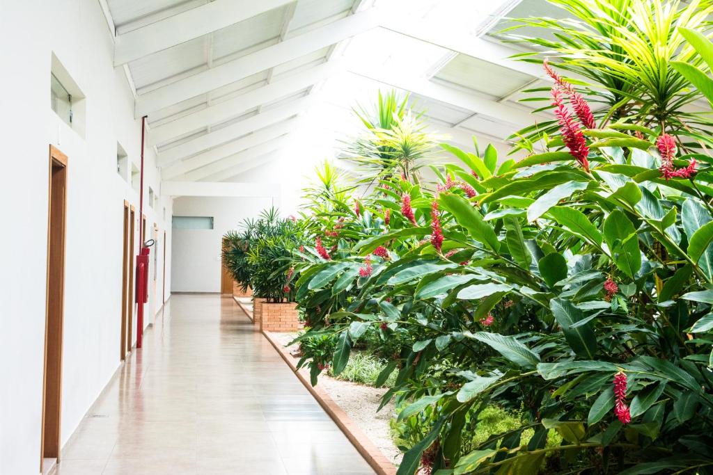 Hotel Vila Verde — Hotel in Penapolis (Sao Paulo)