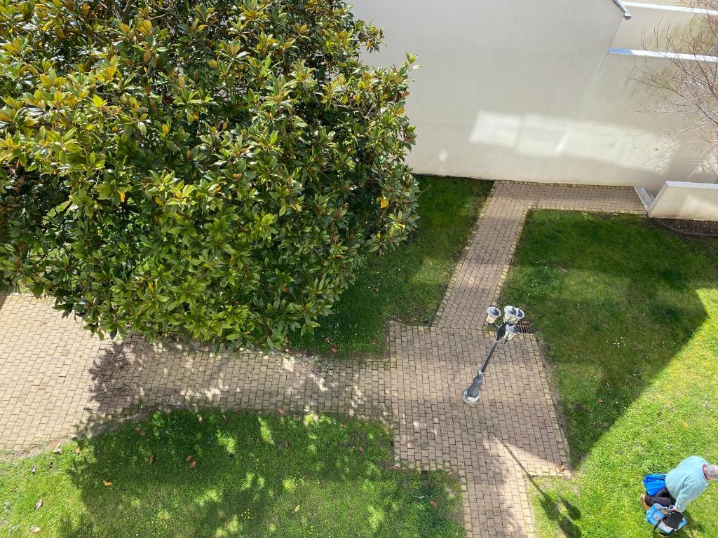Le Kifanlo - Appartement avec une grande terrasse vue mer et plage à 100 m - 2