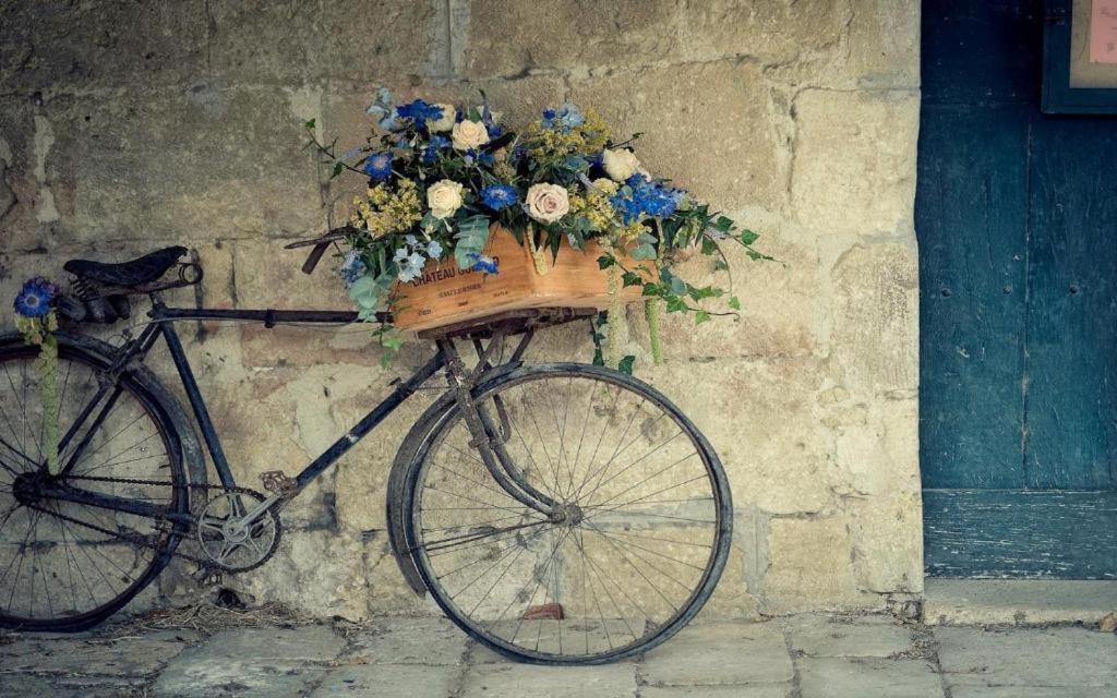 Belgrade Bicycle Hostel photo