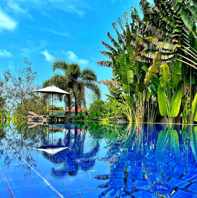 Q Bungalows photo