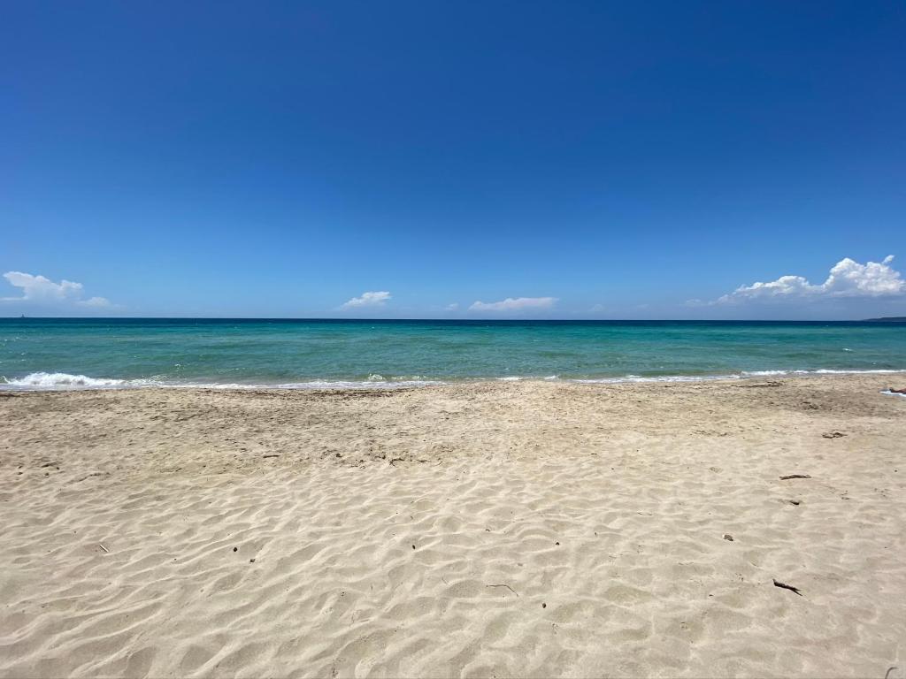 La Fenice sulla spiaggia - 2